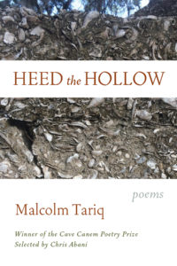Heed the Hollow by Malcolm Tariq