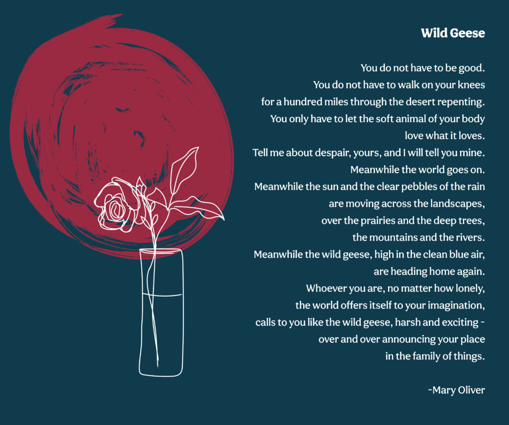 (Wild Geese by Mary Oliver