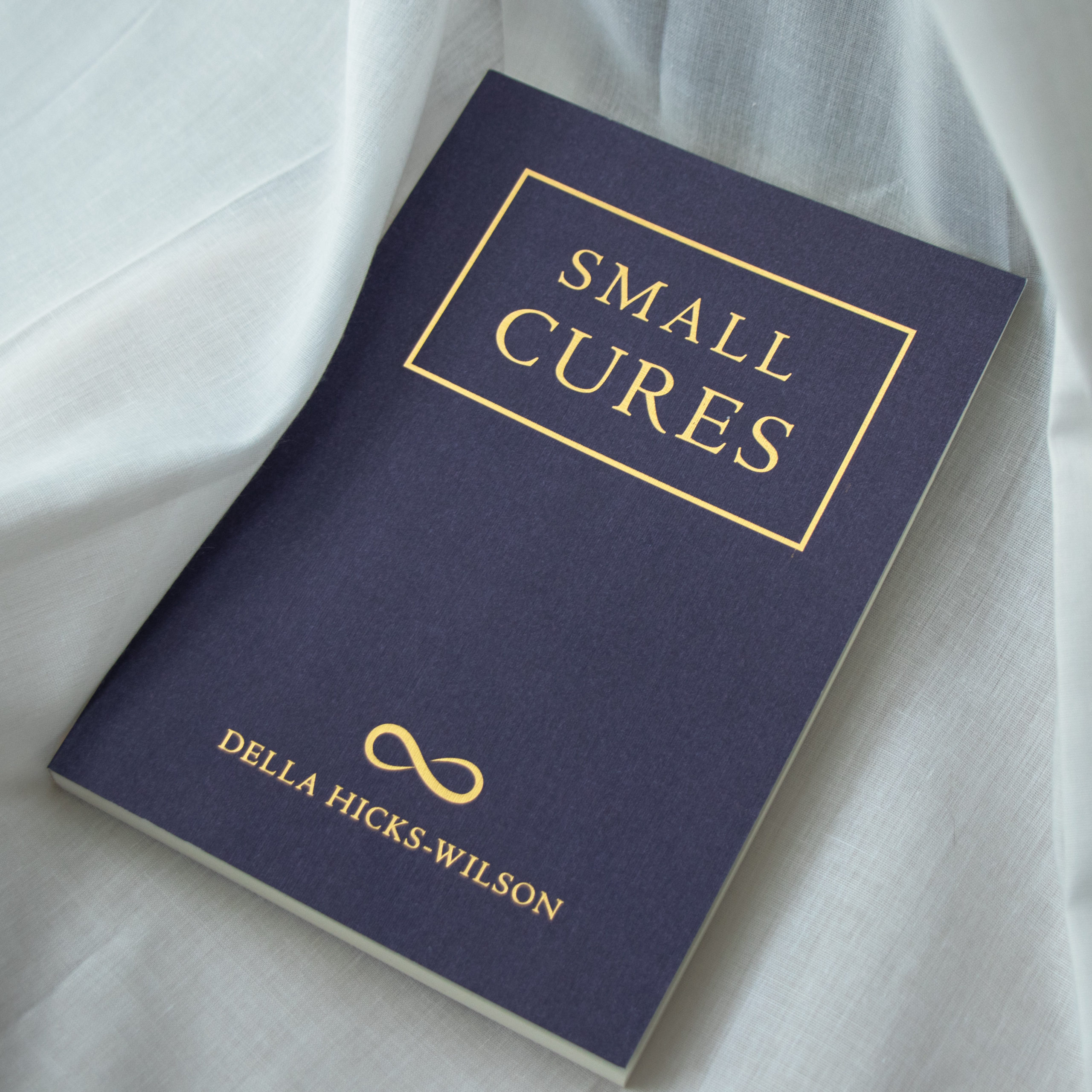 Small Cures by Della Hicks-Wilson