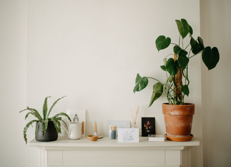 potted plants on a mantle