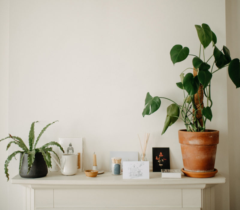 potted plants on a mantle