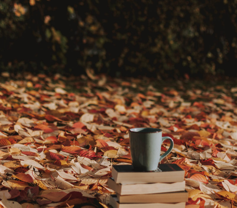 books among autumn leaves
