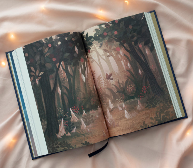 'you are your own fairytale' book laid open